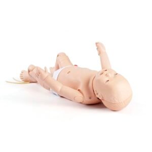BABY TRAINING MODEL